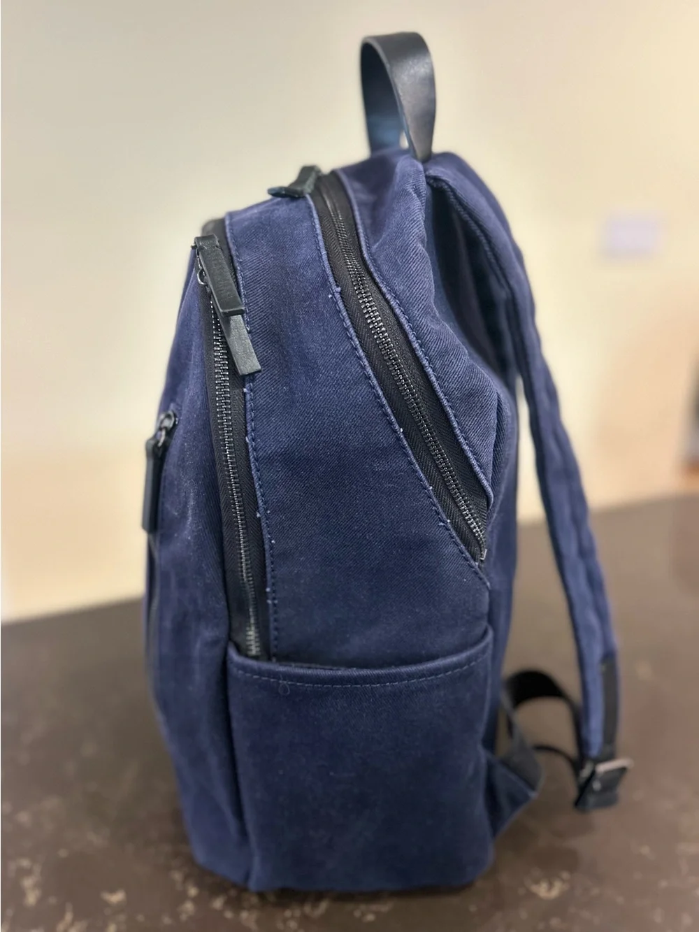 Everlane Modern Commuter Canvas Backpack